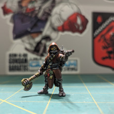 Picture of print of Scavenger Ranger Painting Guide + Model