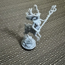 Picture of print of Doe Ingrid Centaur Druid 32mm and 75mm pre-supported